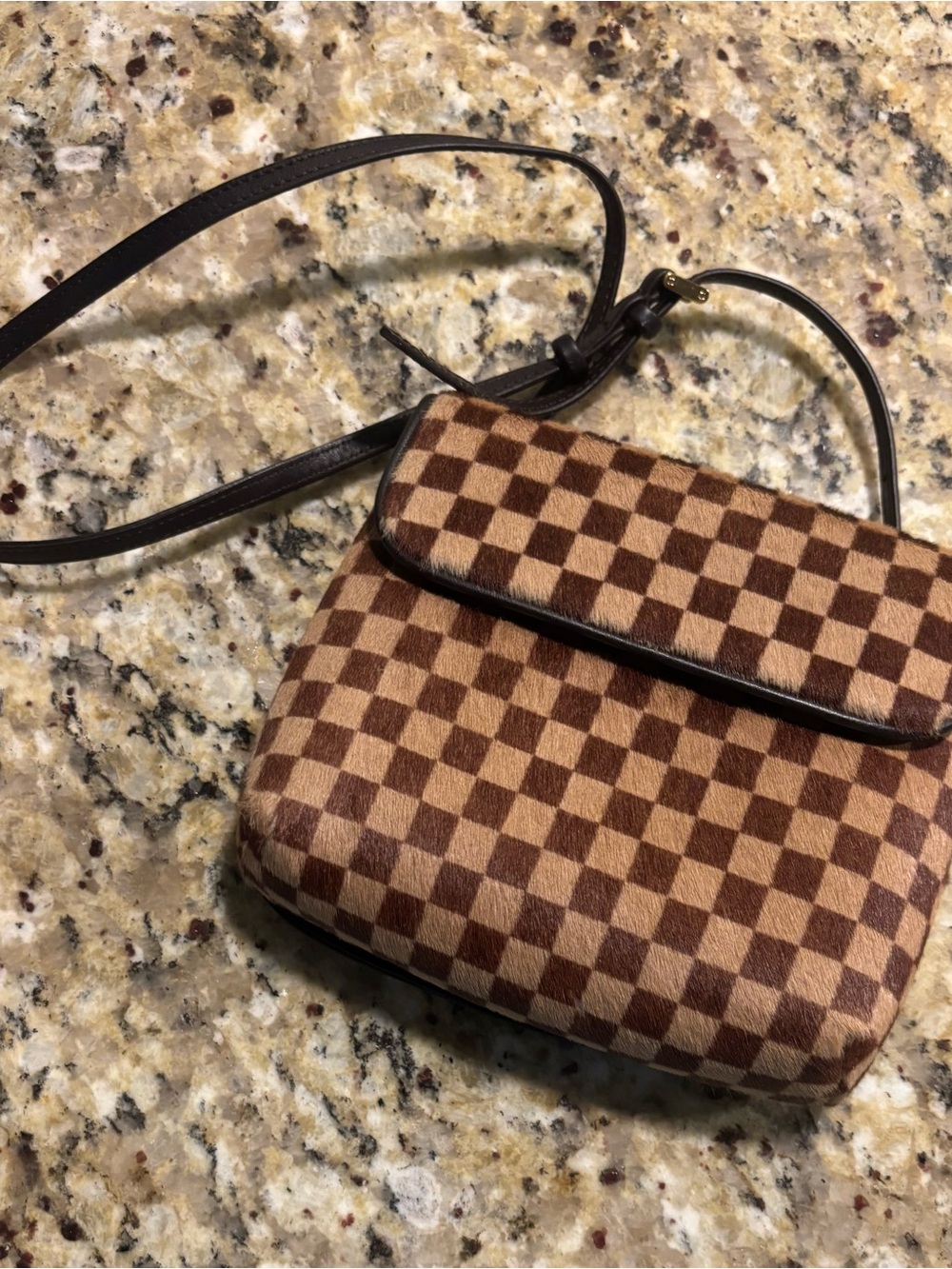 Louis Vuitton Damier Sauvage Gazelle shoulder bag